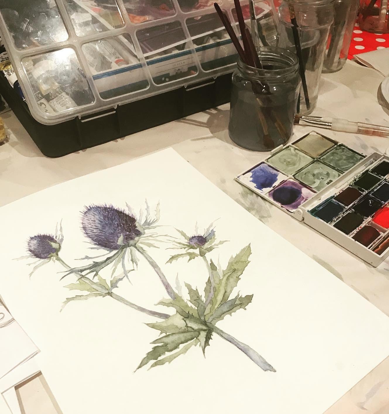 Thistle watercolour Thistle watercolour